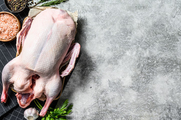 Whole raw goose. Recipe for cooking with pink salt, garlic, parsley and rosemary. Gray background. Top view.  Space for text