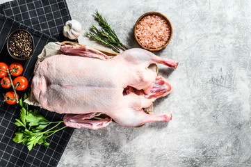 Whole raw duck. Recipe for cooking with pink salt, garlic, parsley and rosemary. Gray background. Top view. Space for text