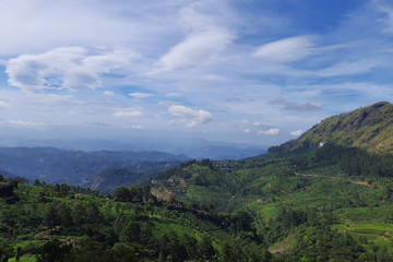 Tea plantations in the Mountain Valley of Munnar with beautiful blue sky