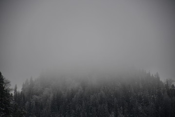 Fototapeta na wymiar Beautiful winter foggy landscape 