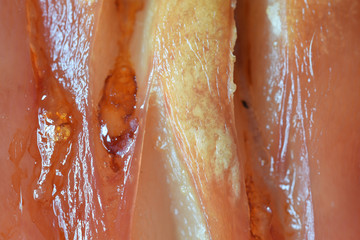 Fototapeta premium Macro image of crackling on Roast Pork