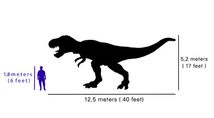 Comparison size between tyrannosaurus rex and human. © fabio