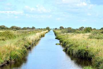 canal dans les marais poitevin loire atlantique france