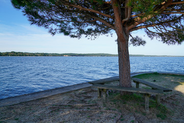Fototapeta na wymiar empty wooden bench at lake beach crossing boat canal with single tree in carcans village France