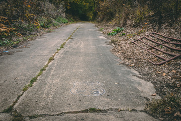 Old country road leading through trees