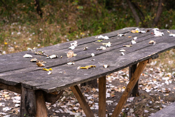 Fototapeta premium A table and two benches from a rough log house. Recreation area in the forest
