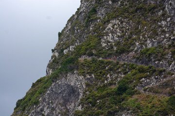 details of Madeira island, Portugal
