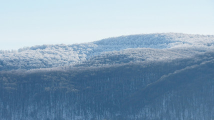 mountains and forest covered with white snow