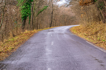 Straßenweg im Mecsek Gebirge in Pecs/Ungarn