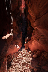 Buckskin Gulch Slot Canyon at Wire Pass Trail in Kanab, Utah