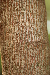 background of fabric