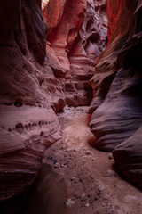 Buckskin Gulch Slot Canyon at Wire Pass Trail in Kanab, Utah