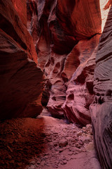 Buckskin Gulch Slot Canyon at Wire Pass Trail in Kanab, Utah