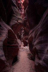 Buckskin Gulch Slot Canyon at Wire Pass Trail in Kanab, Utah