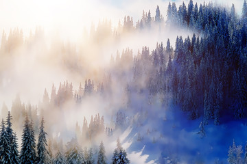 Fototapety  śnieżny krajobraz górski i pokryte śniegiem drzewa, efekt graficzny.