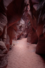 Buckskin Gulch Slot Canyon at Wire Pass Trail in Kanab, Utah