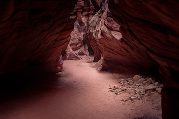 Buckskin Gulch Slot Canyon at Wire Pass Trail in Kanab, Utah