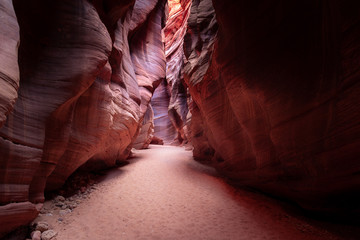 Buckskin Gulch Slot Canyon at Wire Pass Trail in Kanab, Utah