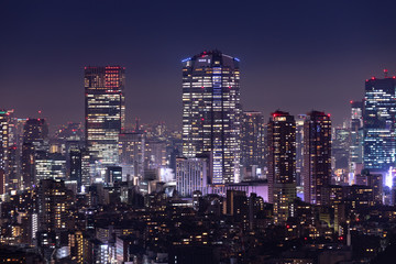 Fototapeta na wymiar 美しい東京の夜景