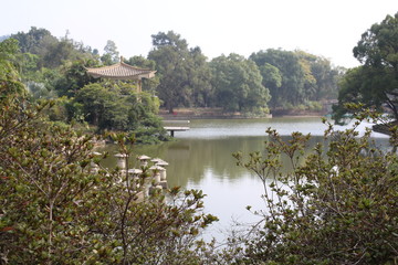 Lake View