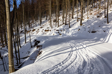 Mountain Road in Winter