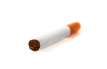 One cigarette lies with a filter to us on a white background