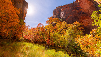 Beautiful Indian Summer in Zion National Park in Utah