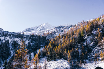 The snowy mountains, the forest and nature after the first snowfall of the season in the alps, near the town of Tartano, Italy - November 2019.