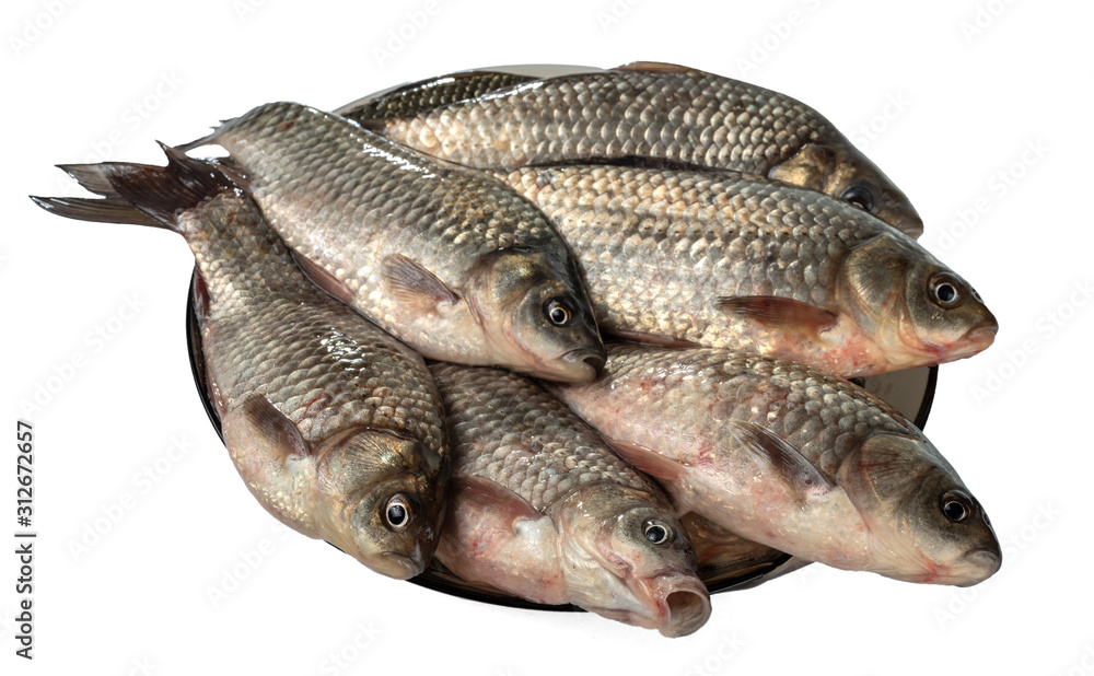 Wall mural a few fresh carps on a plate. isolated on white background.