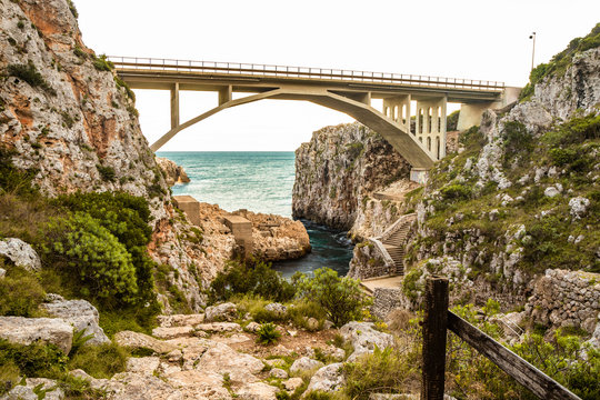 Ciolo Ciolo Images – Browse 327 Stock Photos, Vectors, and Video | Adobe Stock