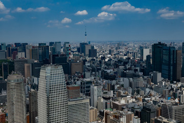 Fototapeta premium 東京の街並み