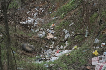 Elemental dump plastic garbage on the roadside near the outskirts of the forest. Pollution of the environment with plastic and other wastes. Plastic debris on the grass among trees. 