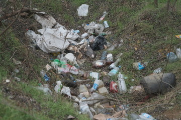 Elemental dump plastic garbage on the roadside near the outskirts of the forest. Pollution of the environment with plastic and other wastes. Plastic debris on the grass among trees. 