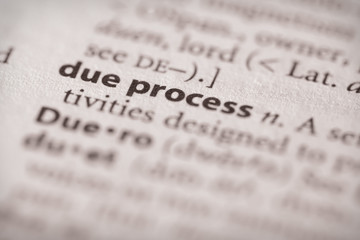 Dictionary Series - Due Process