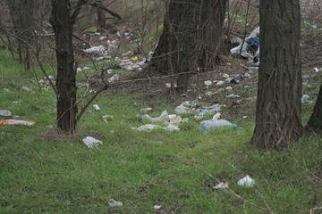 Forest pollution, plastic garbage in the pinewood. Dump plastic debris in pine tree forest. Dump garbage in woods of Ukraine. Environmental plastic pollution is ecological problem.