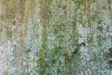 Old mouldy wall with peeling paint