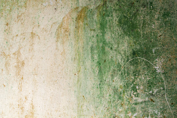 Detail of old moldy wall