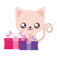 Cute cat cartoon with gifts vector design