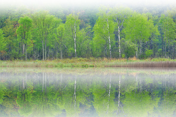 Spring landscape of the shoreline of Deep Lake in fog with mirrored reflections in calm water, Yankee Springs State Park, Michigan, USA