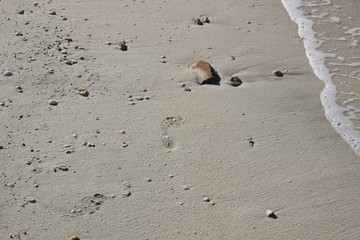 footprints in white wet sand on sea side in sunny say