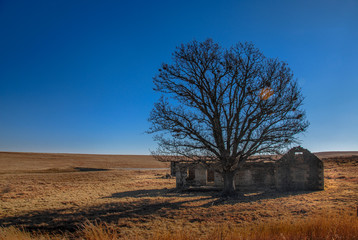 Farm dwelling abandoned and derelict