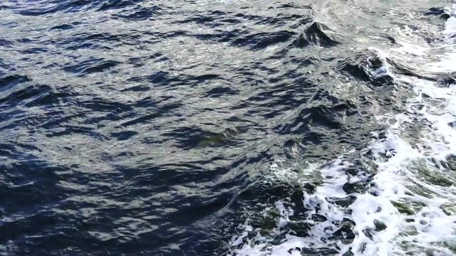 Peace river at Punta Gorda city in Florida