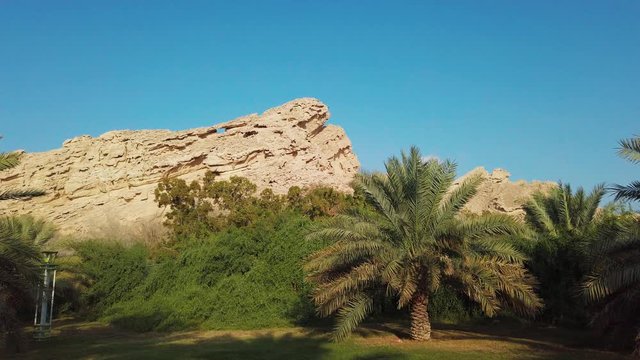 Small rocky hill in green palm tree garden, Dubai road to jabel hafeet al alin