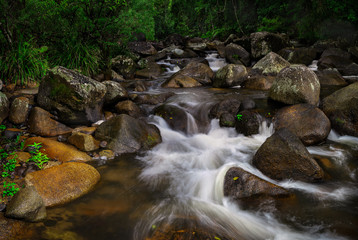 Naklejka na ściany i meble The Beatrice River. Far North Queensland, Australia. - Landscape Photography.