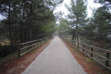 Vía verde Terra Alta, Tarragona con pinos y vallas de madera.