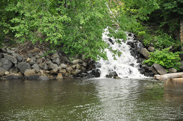 river in the forest