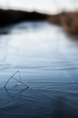 Frozen river, with banch