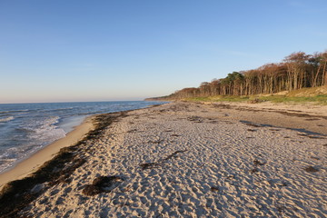 Fußabdrücke am Strand vom Darß