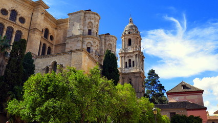 Fototapeta na wymiar imposante Kathedrale von Malaga ragt hinter grünem Baum empor