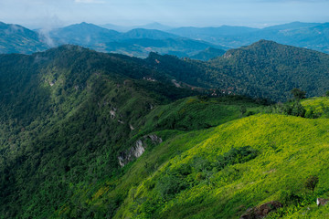 Fototapeta na wymiar Beautiful Landscape of Phu Chi Fa, Chiang Rai, Thailand.